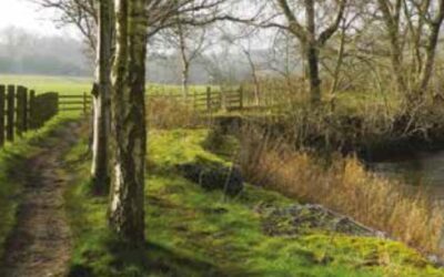 500 years since the battle of Linlithgow Bridge