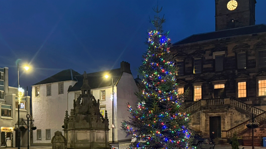 Linlithgow Festive Windows
