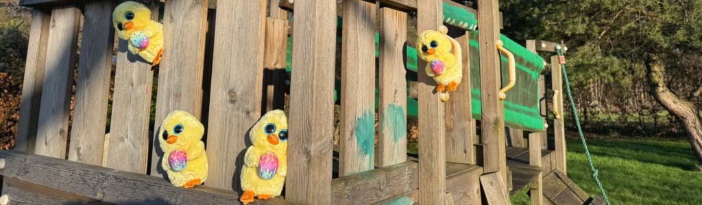 Easter Chicks In Coop 2026 part of locked in memories for this generation