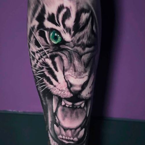 The Black Rose Tattoo Parlour leg tattoo of tiger